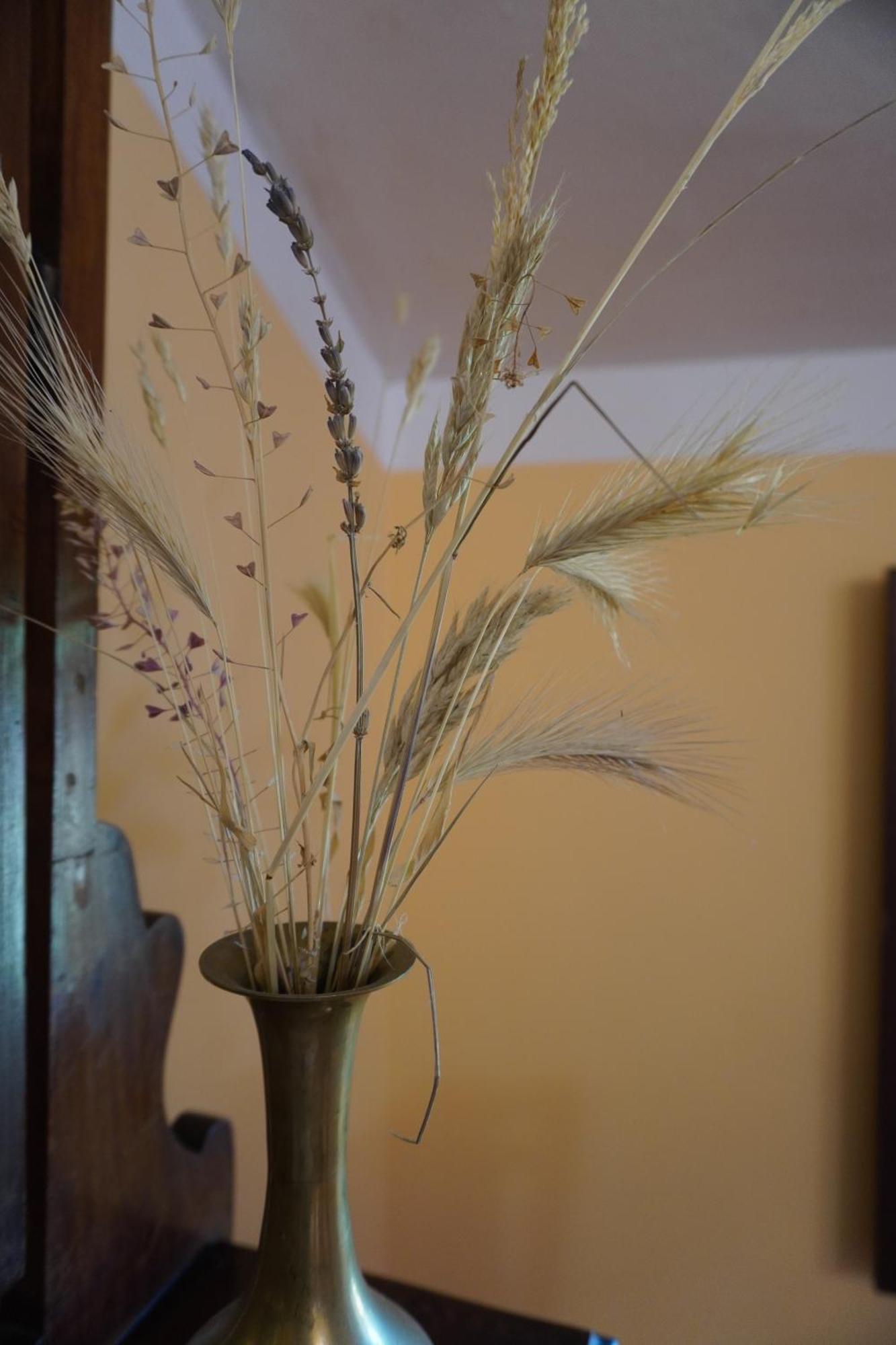 Agriturismo Podere Santa Virginia Albinia Extérieur photo